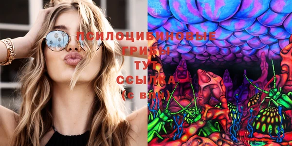 твердый Куйбышев