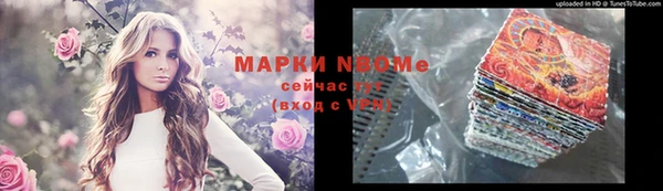 гидра Кулебаки