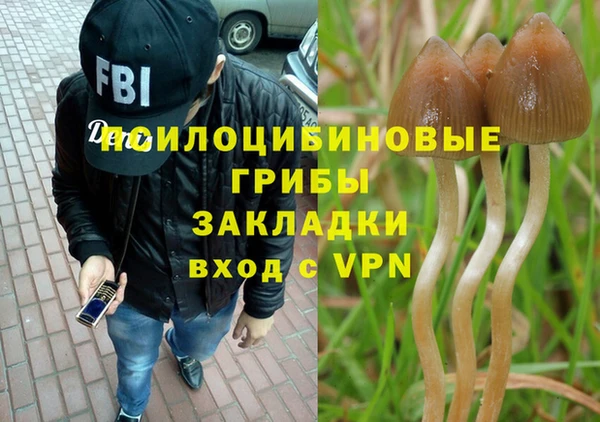 твердый Куйбышев