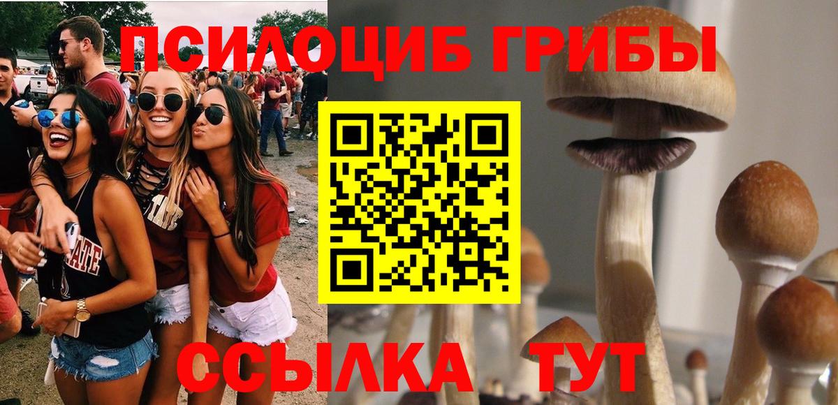 Псилоцибиновые грибы ЛСД Ухта